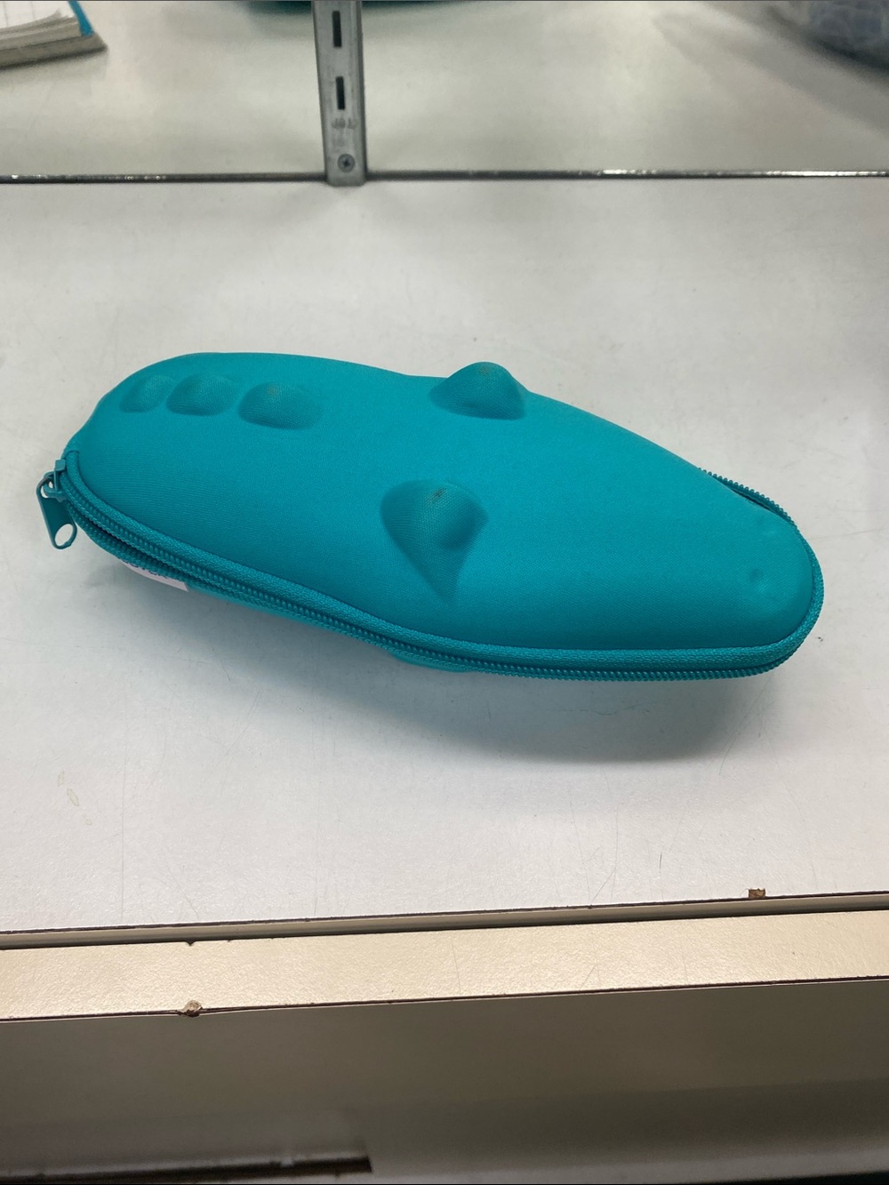 Sunglasses eyeglasses Teal Zip-Up Pouch Case